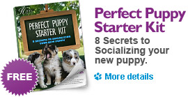 Happy Hound Puppy Training