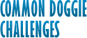 Common Doggie Challenges
