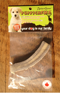 Elk Antlers Happy Hound